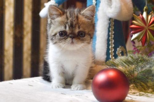 Оказывается 20 февраля -. 06