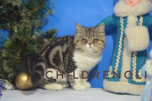 Оказывается 20 февраля -. 02