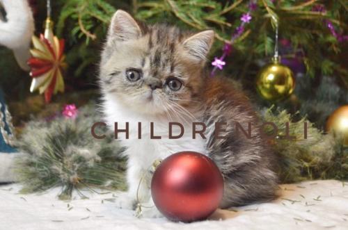 Оказывается 20 февраля -. 05