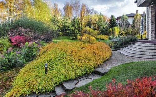 Модный прием: посадка растений массивами. 06 Модный прием: посадка растений массивами. 06