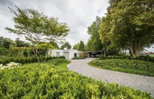 Модный прием: посадка растений массивами. 03 Модный прием: посадка растений массивами. 03