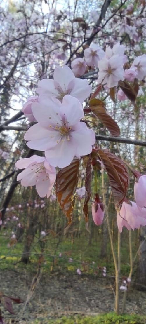 Задание 12.   Вот зиме настал конец. 01