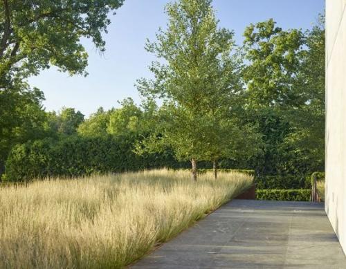 Модный прием: посадка растений массивами. 05 Модный прием: посадка растений массивами. 05