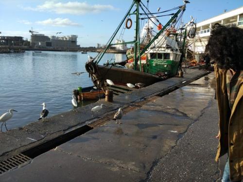 День 1. 22 февраля 2016. 04 День 1. 22 февраля 2016. 04