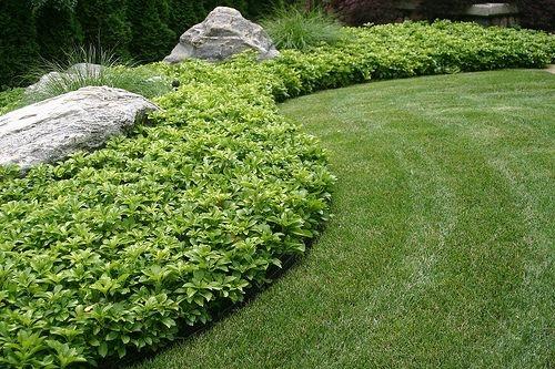 Модный прием: посадка растений массивами. 04 Модный прием: посадка растений массивами. 04