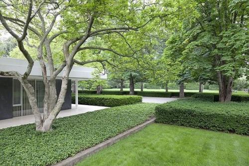 Модный прием: посадка растений массивами. 02 Модный прием: посадка растений массивами. 02