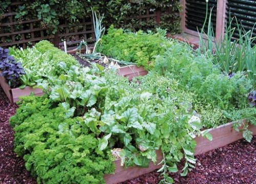 Сад в стиле кантри. 06 Сад в стиле кантри. 06