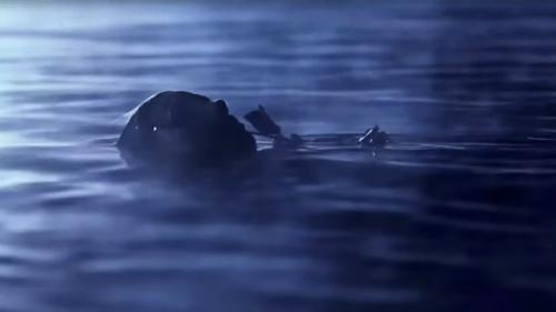 Черная роза: так страшно.

