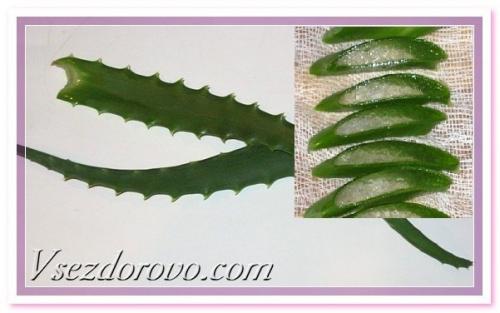 И мы не тратим деньги на ламинирование. 05