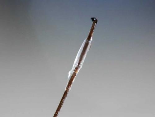 Давайте на чистоту. 01