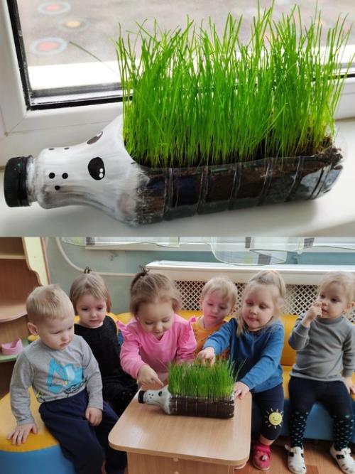 Вы про нашего ёжика помните? 01