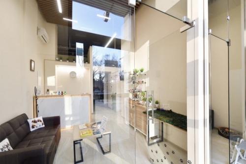 Пушистые SPA в тренде. 03 Пушистые SPA в тренде. 03