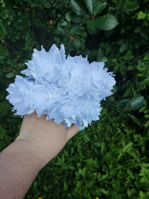 Резиночки на пучок!   Оказывается есть и такое украшение для волос. 08