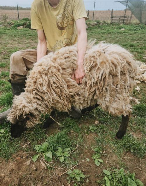 Ну все, девчонки все лысые. 01