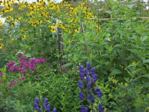 Сад в стиле кантри. 03 Сад в стиле кантри. 03