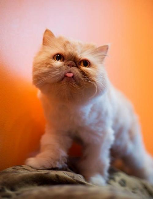 Москва и мо. 02