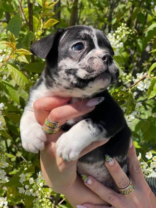 Ну, что я хочу сказать. 01