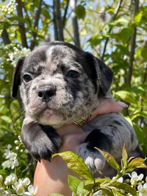 Ну, что я хочу сказать. 03