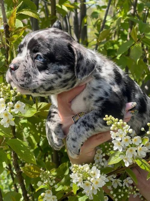 Ну, что я хочу сказать. 02