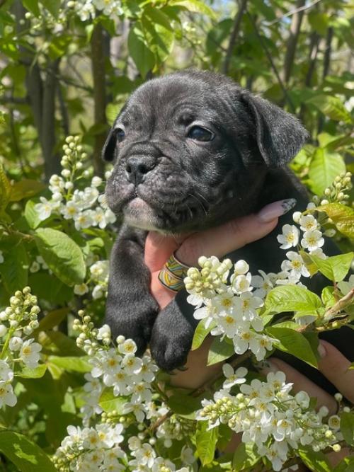 Ну, что я хочу сказать. 04