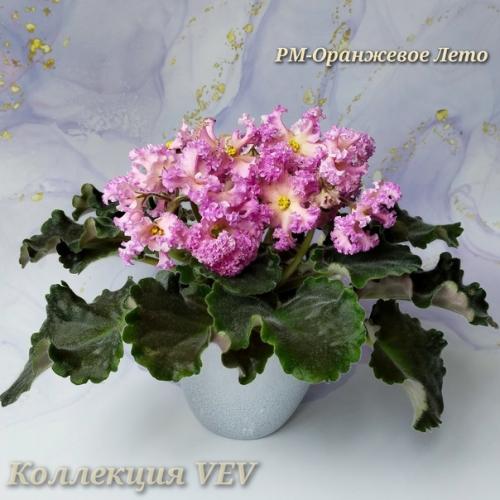 Ещё раз добрый день! 01