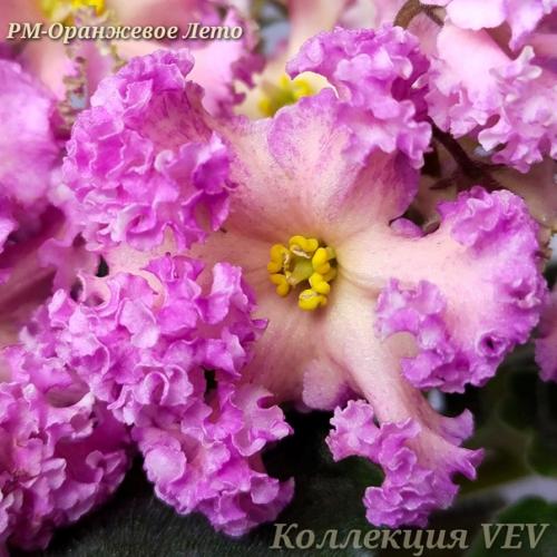 Ещё раз добрый день! 02