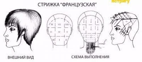 Женские_стрижки схема@Gazetab. 01 Женские_стрижки схема@Gazetab. 01