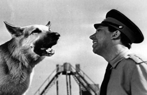 От джульбарса до хатико. 02 От джульбарса до хатико. 02