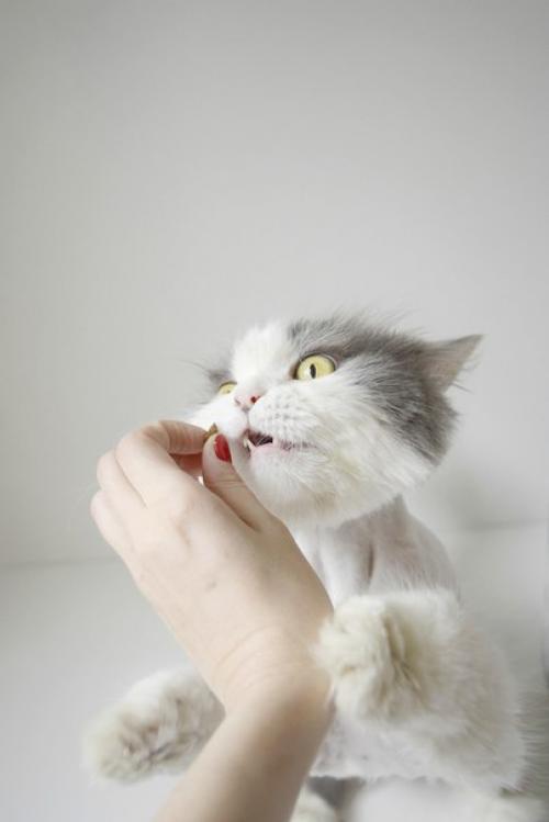 Зацените новую, модную стрижку бьюти? 02