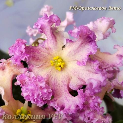 Ещё раз добрый день! 03