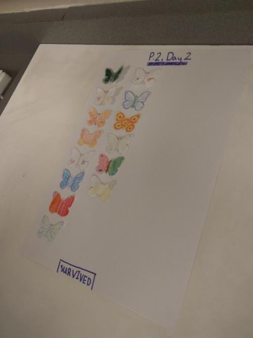 Итоги дня (фото соответственно: 03 Итоги дня (фото соответственно: 03