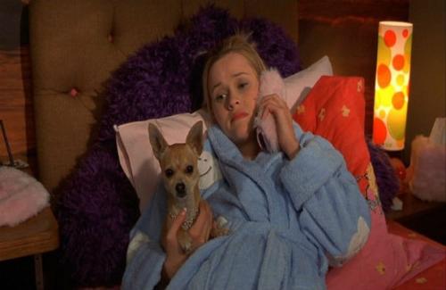 От джульбарса до хатико. 06 От джульбарса до хатико. 06