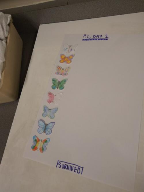 Итоги дня (фото соответственно: 01 Итоги дня (фото соответственно: 01