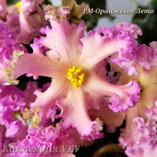 Ещё раз добрый день! 04