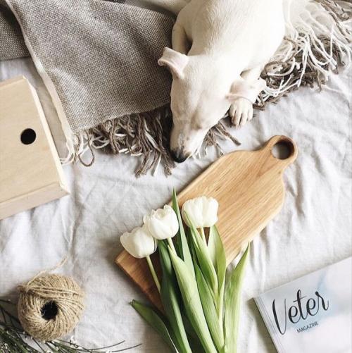 7 пунктов, которые вы легко воплотите в жизнь. 01 7 пунктов, которые вы легко воплотите в жизнь. 01