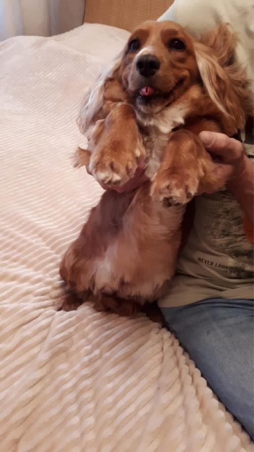 Фотоприветы из дома. 03