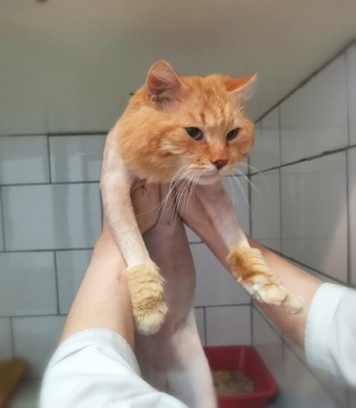 Коломна, Москва, мо, Рязань и дальше. 02 Коломна, Москва, мо, Рязань и дальше. 02