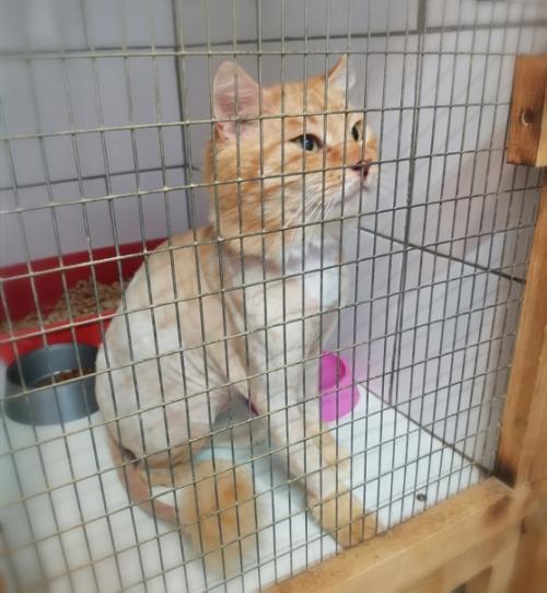 Коломна, Москва, мо, Рязань и дальше. 03 Коломна, Москва, мо, Рязань и дальше. 03