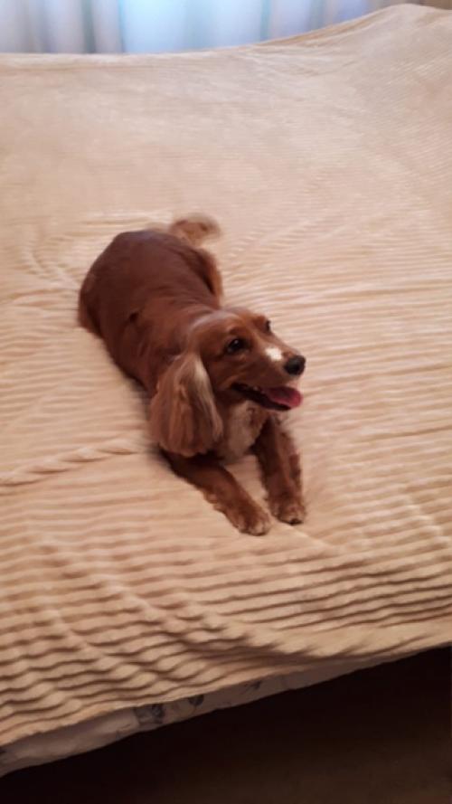 Фотоприветы из дома. 02