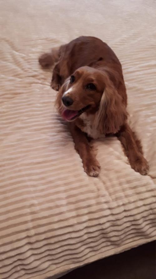 Фотоприветы из дома. 01