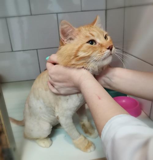 Коломна, Москва, мо, Рязань и дальше. 01 Коломна, Москва, мо, Рязань и дальше. 01