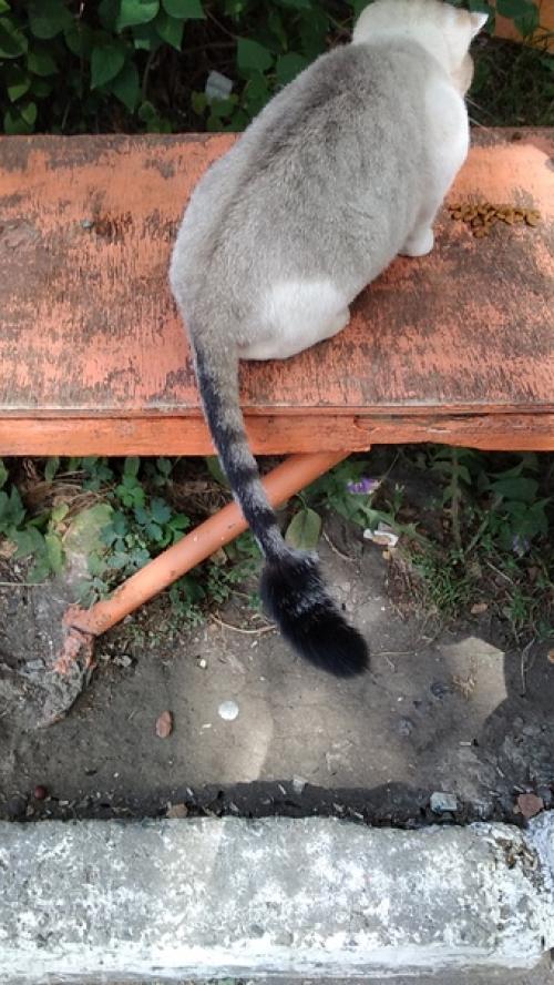 Poterya@pol_Shmot. 01