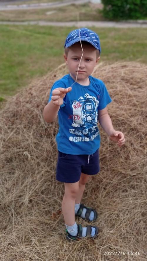 Ирина токмакова. Сенокос. 02