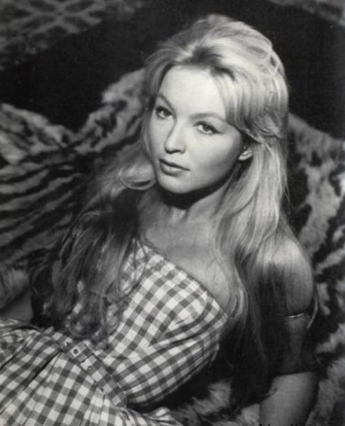 Первые_киноориентировки. Разглашение авторских киноориентировок. 03 Первые_киноориентировки. Разглашение авторских киноориентировок. 03