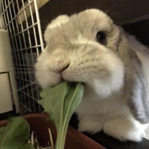 I Came to the Kitchen and saw a Beautiful Picture - you, Drawing Something That Seemed Familiar to me. 04