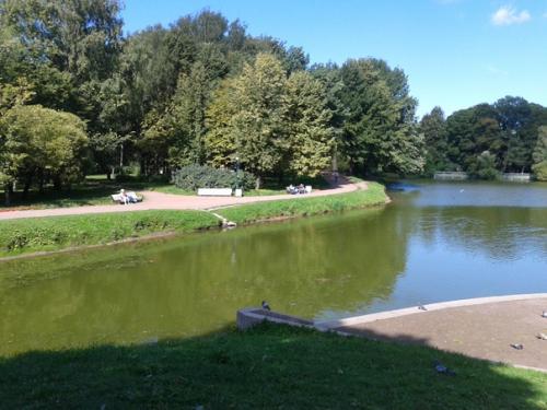 В таврическом саду меня Встречает Сергей Есенин. 04