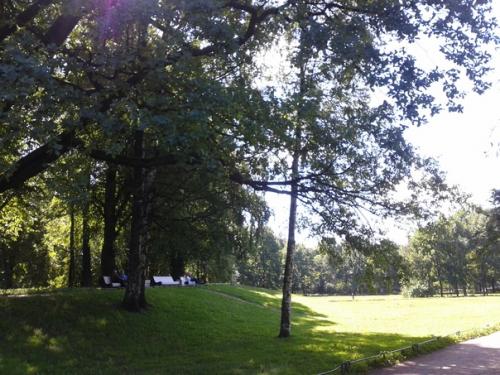 В таврическом саду меня Встречает Сергей Есенин. 08