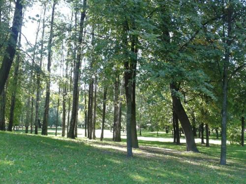 В таврическом саду меня Встречает Сергей Есенин. 02