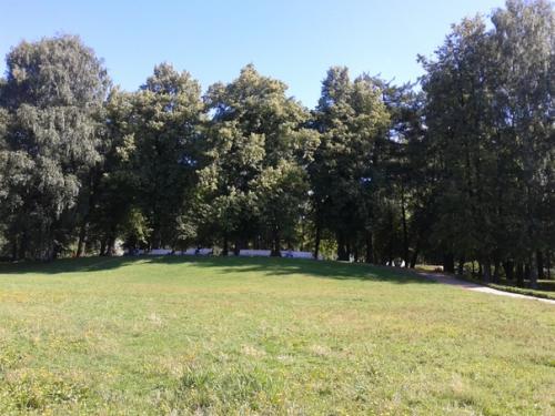 В таврическом саду меня Встречает Сергей Есенин. 05