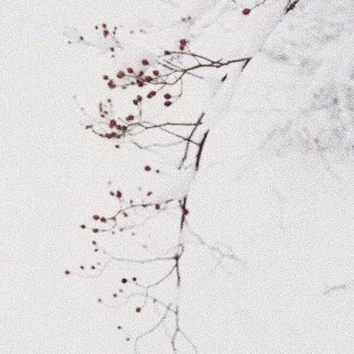 Десять вещей, осознание которых заставит тебя выдохнуть от облегчения. 02